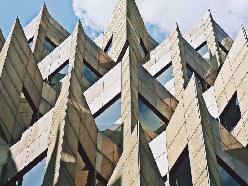 Cockroaches: Facts, Risks, and&nbsp;Prevention