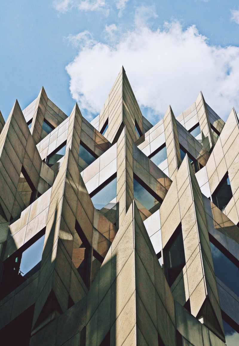 Cockroaches: Facts, Risks, and&nbsp;Prevention